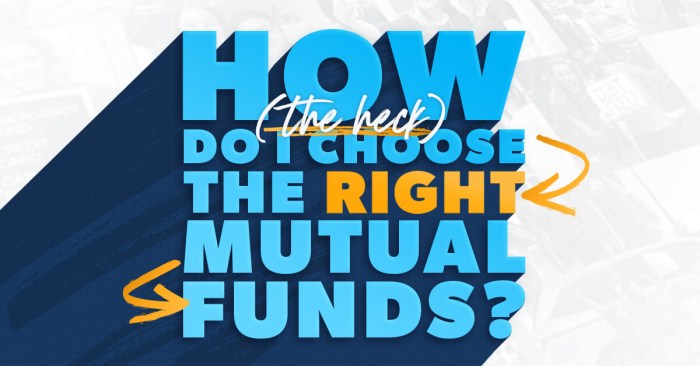 Mutual funds detailed seek investobull