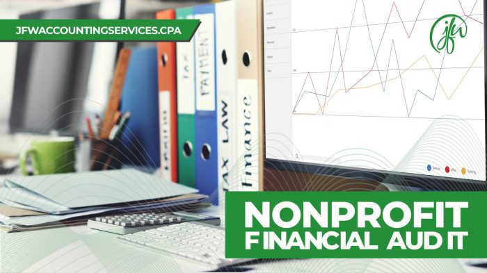 Audit nonprofit